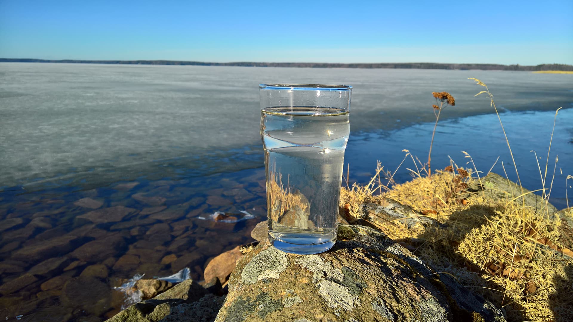 Sitoutuminen puhtaaseen luontoon – kestäviä jätevesiratkaisuja tuleville sukupolville