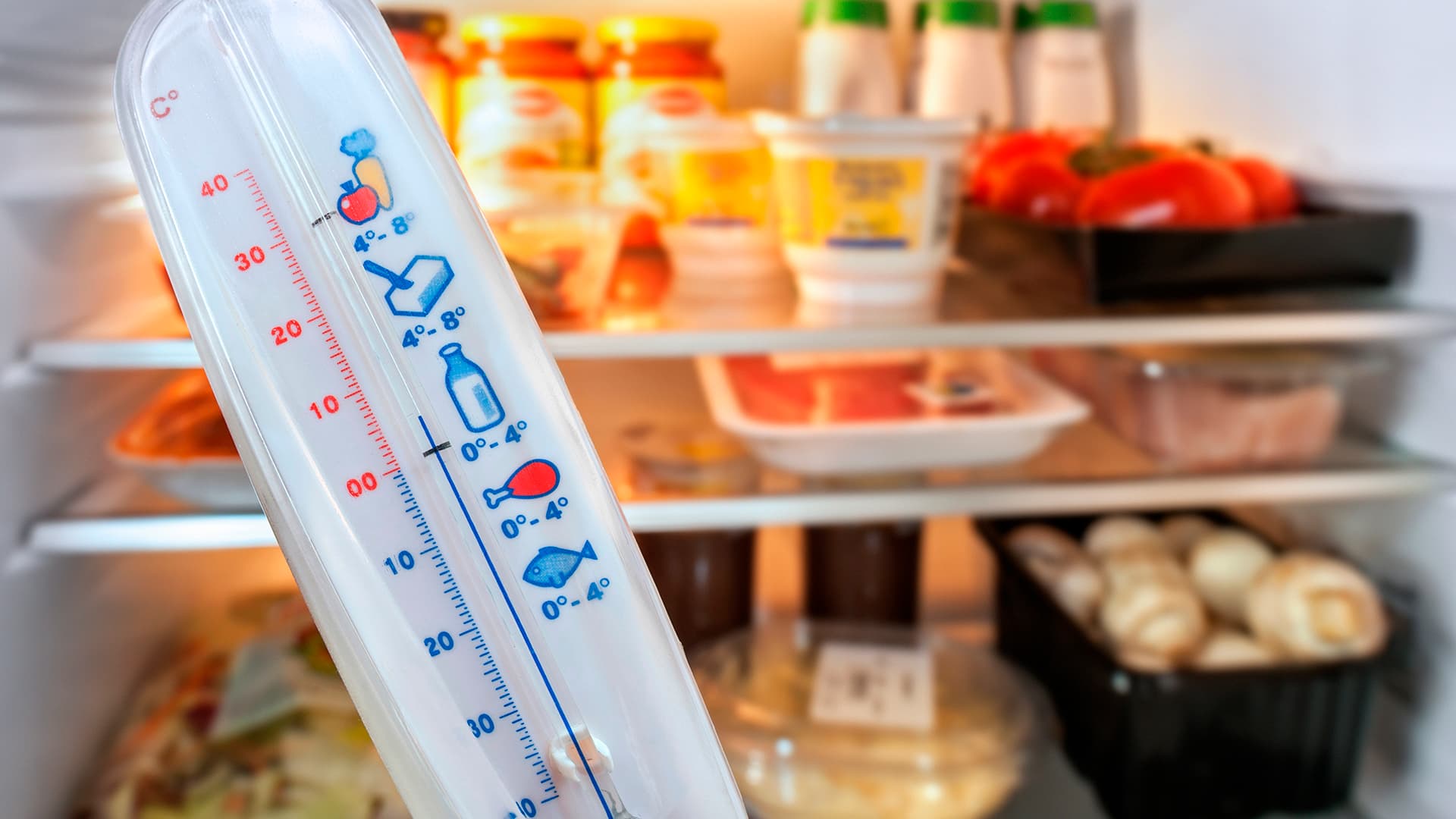 Onko jääkaappisi lämpötila oikea?
