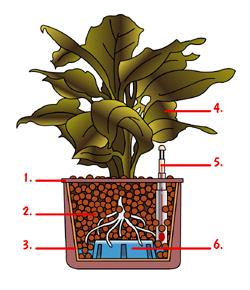 1. ulkoruukku, 2. puhdas kevytsora, 3. reiällinen viljelyruukku, 4. kasvi, 5. vesitasomittari, 6. vesitila