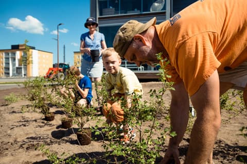 Uuden kodin Harmoniaa