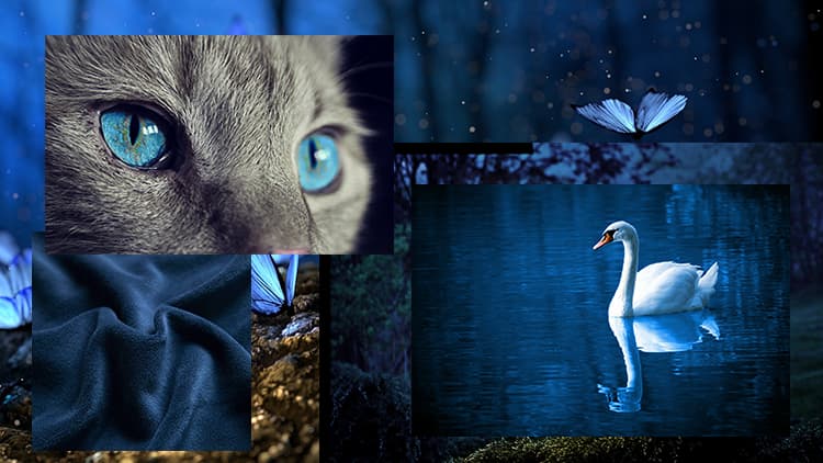 <p data-block-key="iofd1">SIninen (Kuva Sari Nieminen)</p>