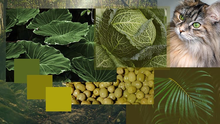 <p data-block-key="yc7p6">Vihreä (Kuva Sari Nieminen)</p>