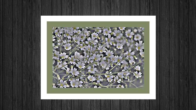 <p data-block-key="zeza8">Suurempi kontrasti: musta ja valkoinen rinnakkain. (Kuva Sari Nieminen)</p>