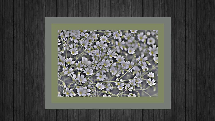 <p data-block-key="vm9ey">Pieni kontrasti: harmaa mustan vieressä neutraloi. (Kuva Sari Nieminen)</p>