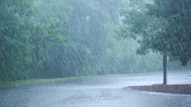 Kiinteistön omistaja on vastuussa hulevedestä ja sen hallinnasta