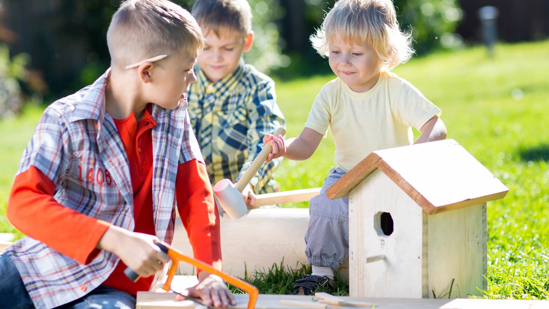 Tee linnunpönttö pöllölle: Tue lintuja puutarhassasi – pesäpöntöt apuna talvella