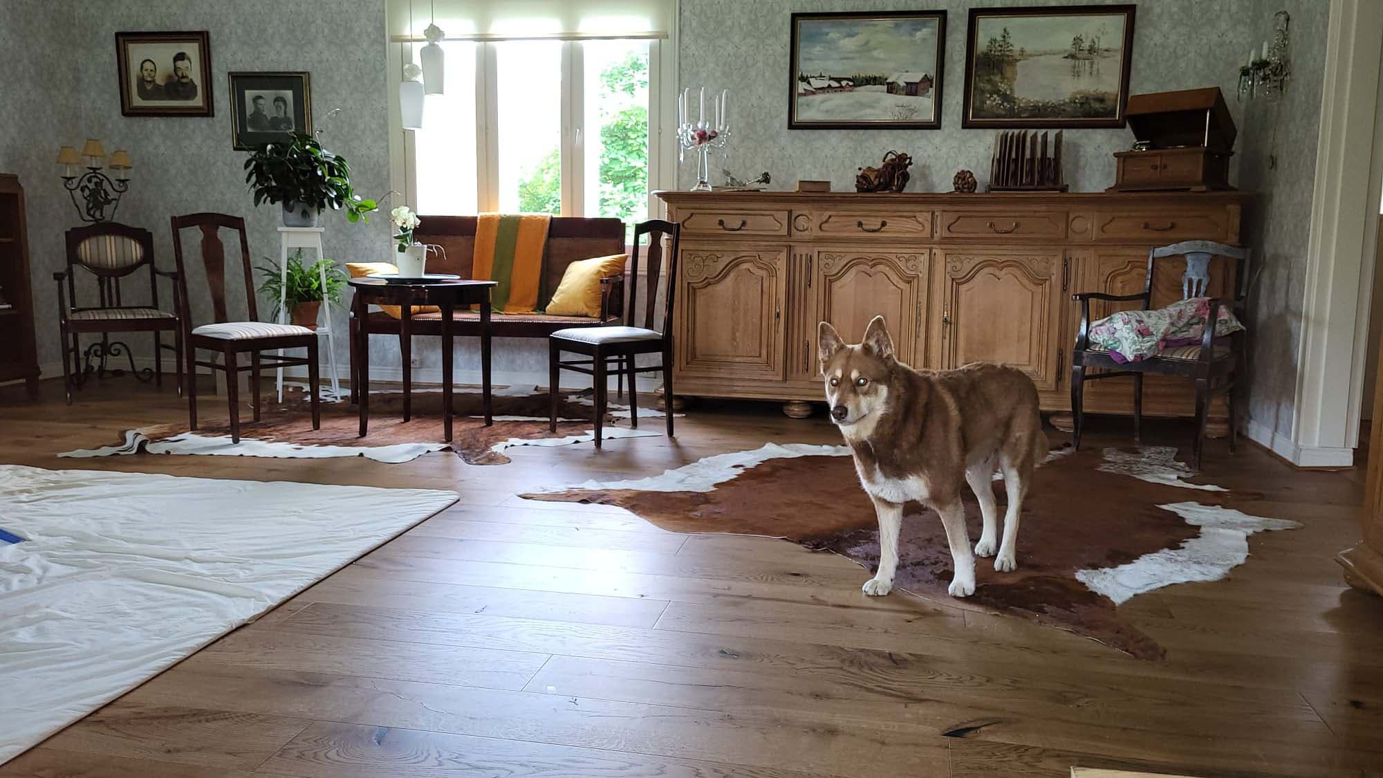 Vuosi remontista: 75 vuotta vanhan hirsitalon energiaremontti