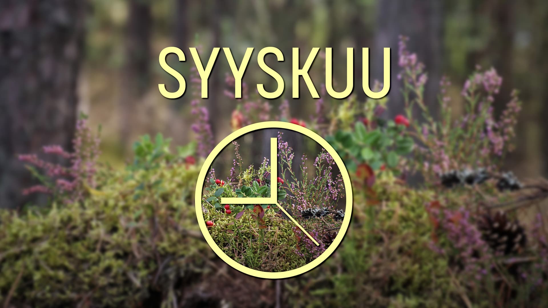 Taloyhtiön vuosikello: Syyskuu
