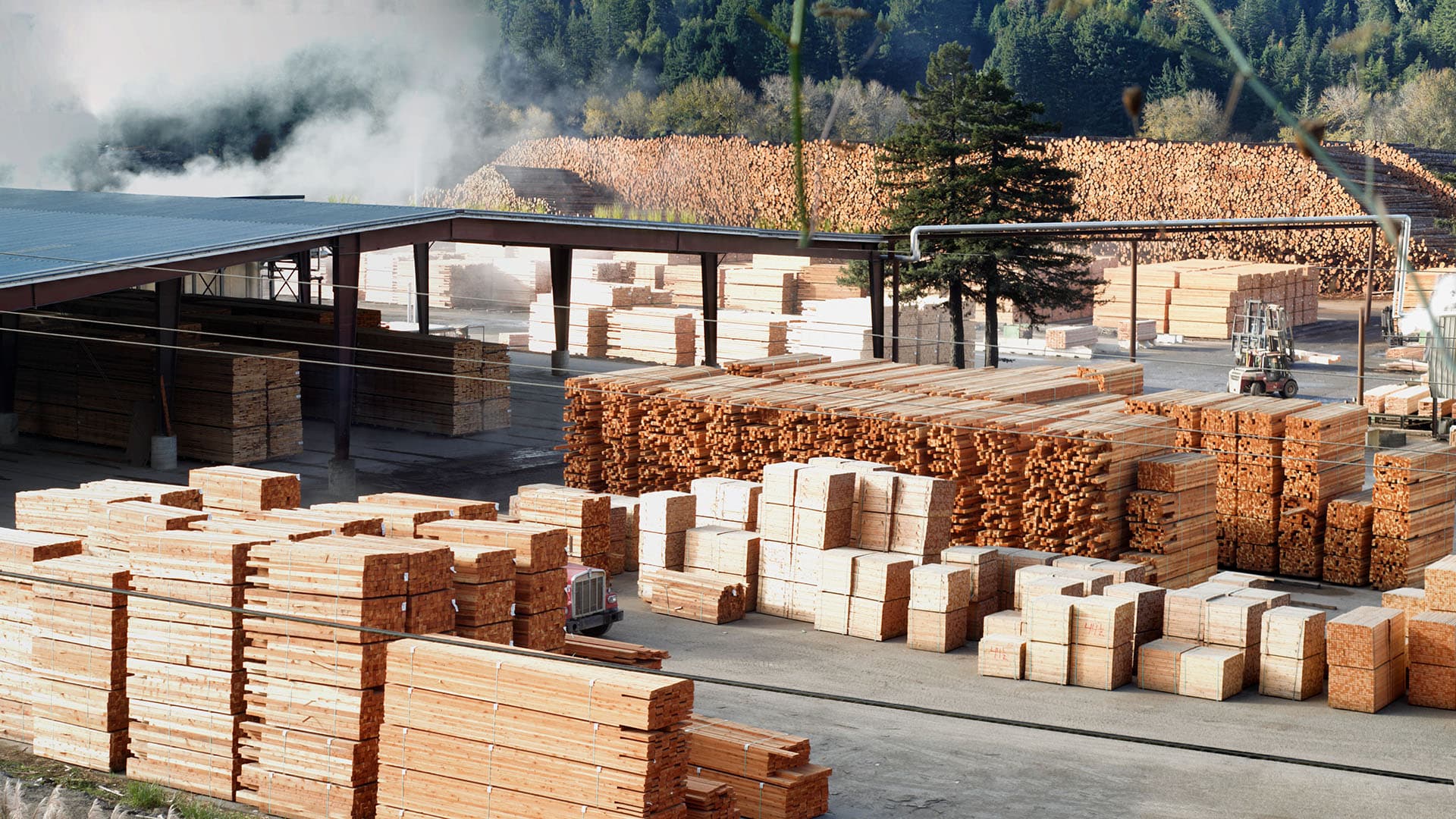 Puutavaran kysyntä sakkaa ja hinnat ovat laskussa – energiakriisi pahentaa tilannetta