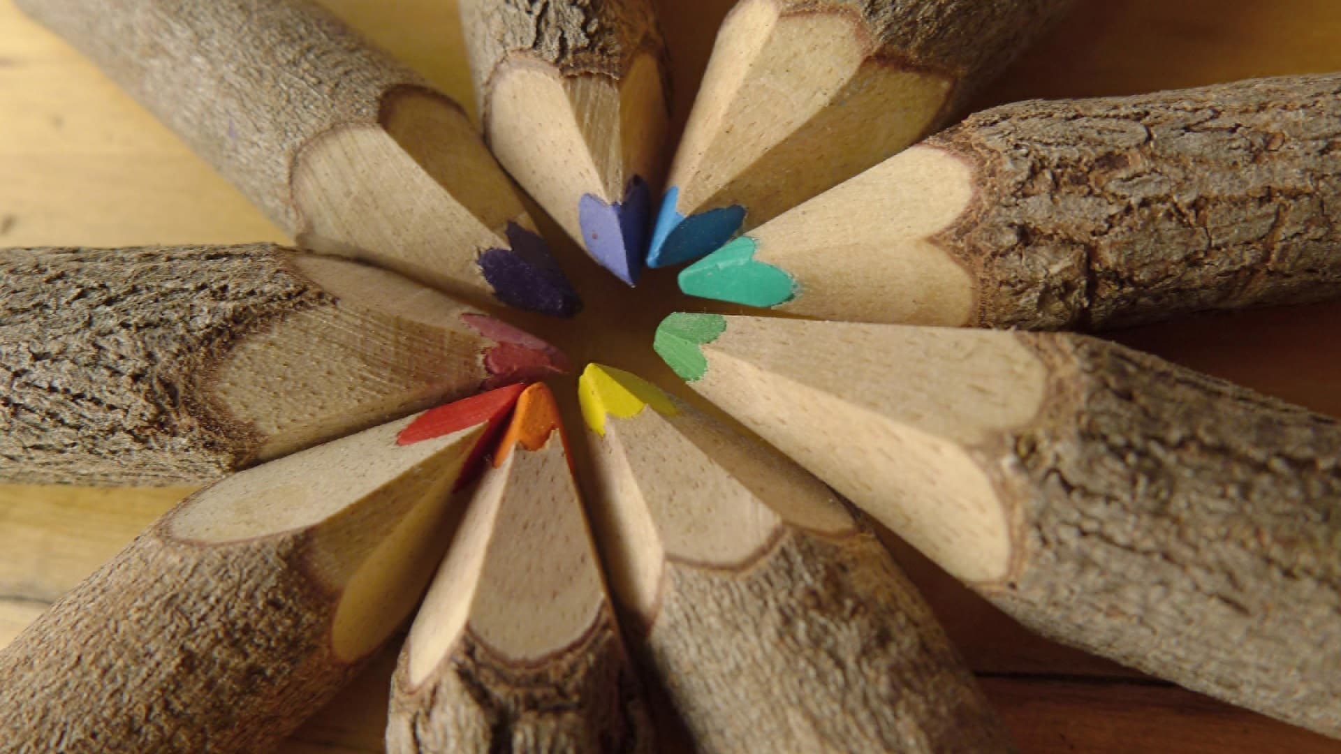 Puukoulu: Tutustu puun maailmaan ja opi hyödyntämään sitä oikein